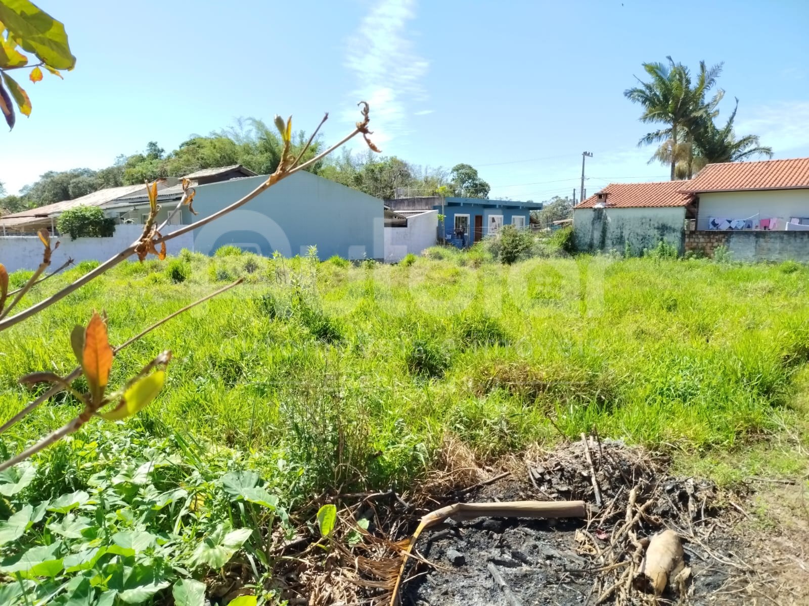 Lote na Lagoa do Quintino